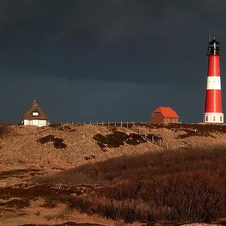 Ferienhaus-Liigerhof-App-3 شقة Sylt-Ost